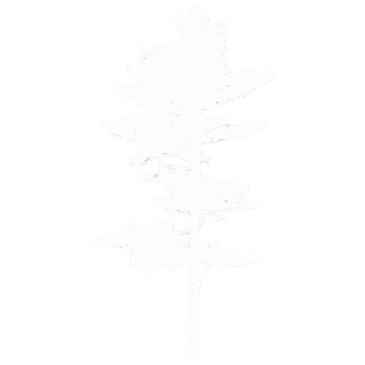PIA Industries Pine Tree Logo